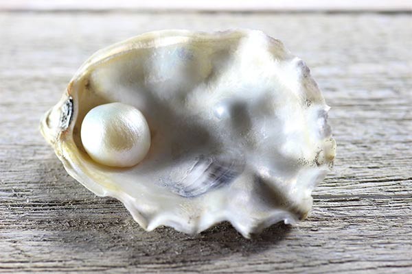 Perlen-Schätze des Meeres